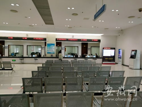 虎年開工首日探訪 安徽省政務服務中心窗口人員堅守崗位，熱情服務暖人心